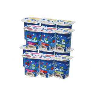 Lot de 12 yaourts aromatisé 