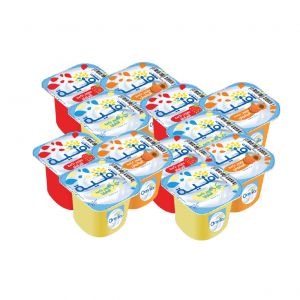 Lot de 12 yaourts brassé
