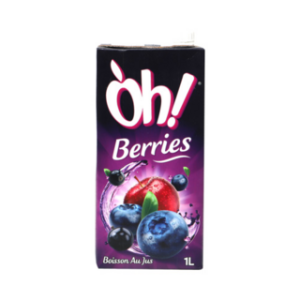 Boisson au jus berries