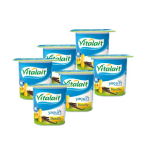 Lot de 6 yaourts aromatisés vanille