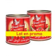 Lot de 2 doubles concentrés de tomates