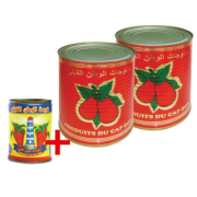 Lot 2 tomates double concentrés + harissa 
